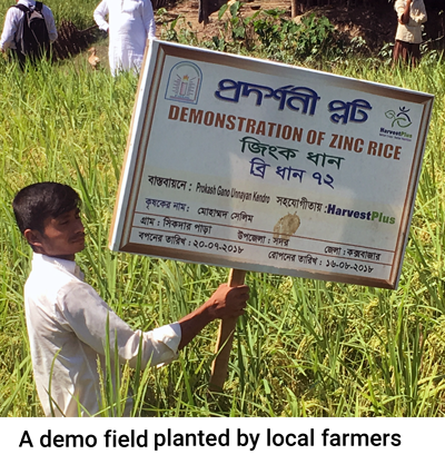 Photo Sign HarvestPlus Bangladesh