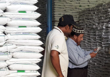 Two men inspect grain stocks