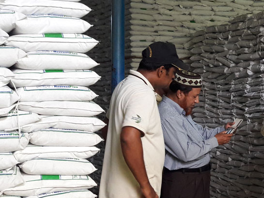 Two men inspect grain stocks