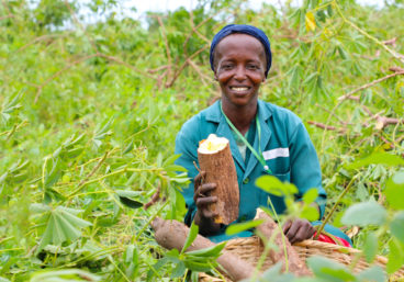 Women in holding Vitamin A Cassava