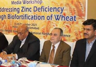 Meeting on zinc wheat