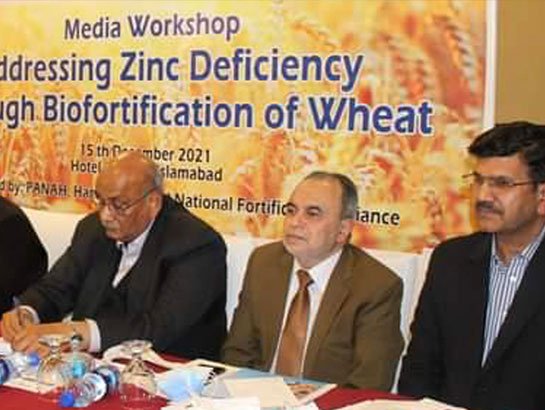 Meeting on zinc wheat