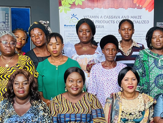 Women at agriculture workshop in Nigeria